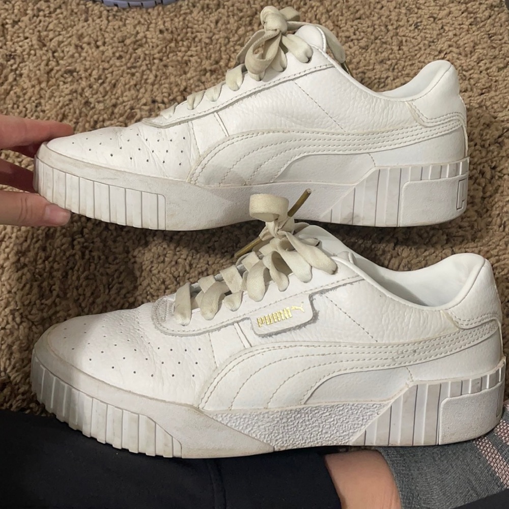 white pumas